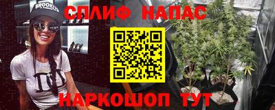 спайс Краснодар