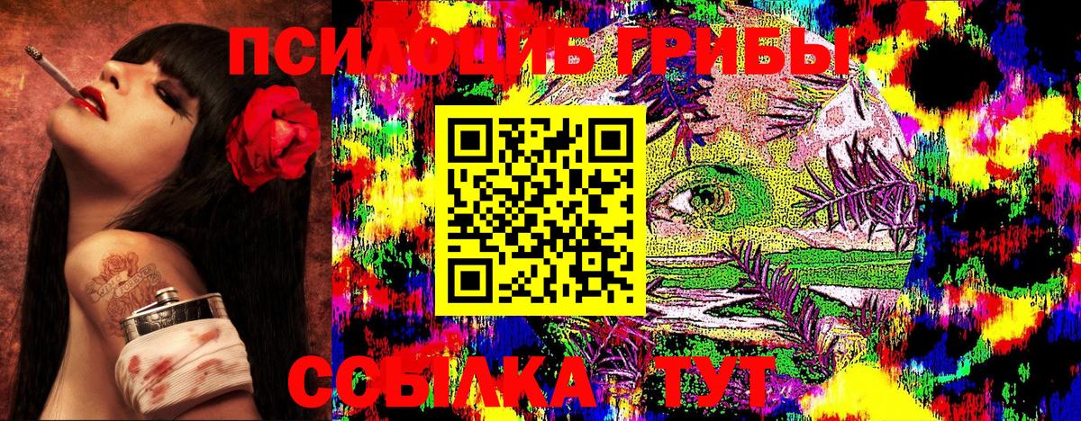 Псилоцибиновые грибы GOLDEN TEACHER  даркнет сайт  Ишимбай  Вход с VPN  Псилоцибиновые грибы ЛСД 